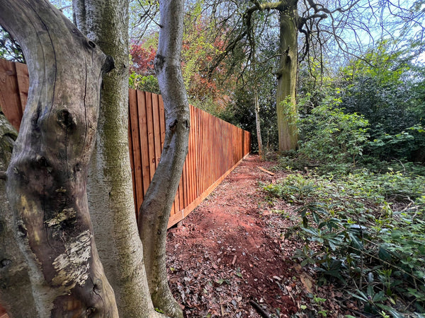 Transforming a Domestic Property with Featheredge Insitu Fencing in Barlaston: A Recent Project by Almec Fencing